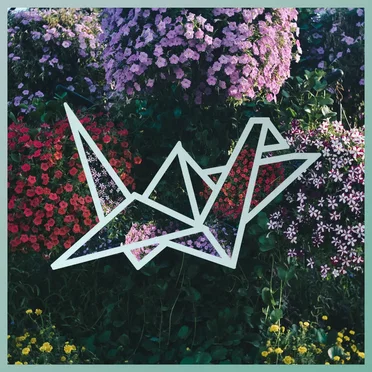 Seyda Neen by Tom's Story - album cover