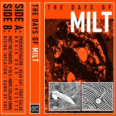 The Days Of Milt by MILT - album cover