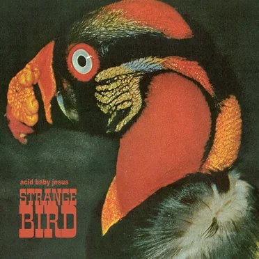 Strange Bird by Acid Baby Jesus - album cover