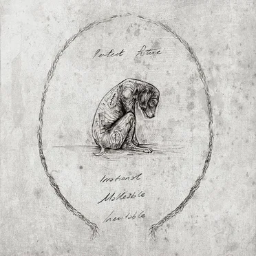 Irrational, Malleable, Inevitable by Perfect Future - album cover