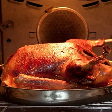 Mole Cooks His Goose by Sue Townsend - album cover