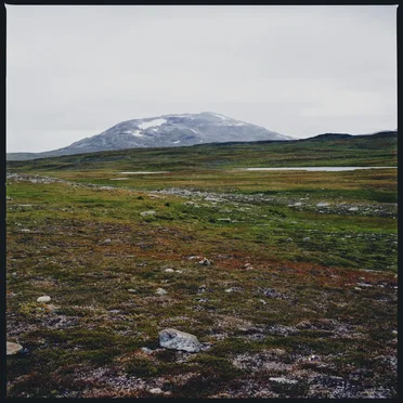 Tundra by Gidge - album cover