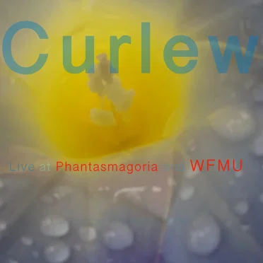 Live at Phantasmagoria and WFMU