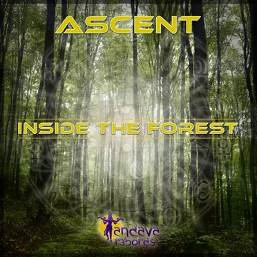 Inside the Forest
