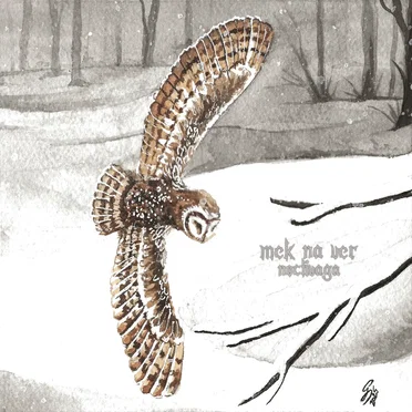 Noctivaga by Mek Na Ver - album cover