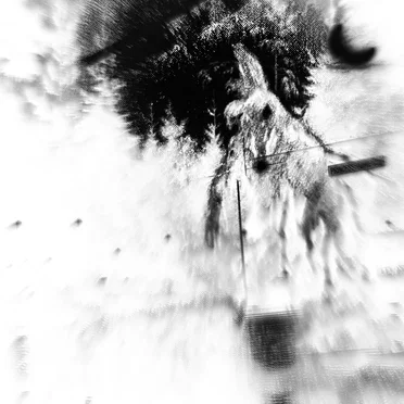 Roaming the Chaotic Area of Moldy Mist by dankpotato666.v2 - album cover