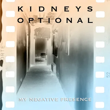 my negative presence by kidneys optional - album cover