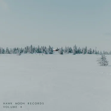 Hawk Moon Records: Volume X by Various Artists - album cover