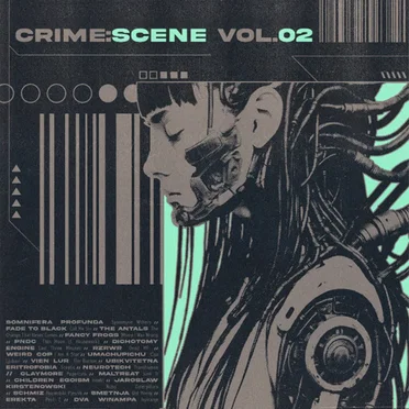 D:S, Volume 2 by Various Artists - album cover