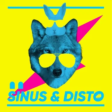 Sinus & Disto by elvett - album cover