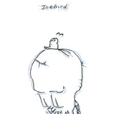 Icebird