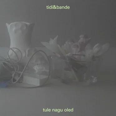 Tule nagu oled