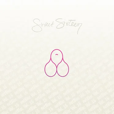 netBloc, Volume 16: Sweet Sixteen by Various Artists - album cover