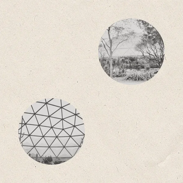 Desert Dome