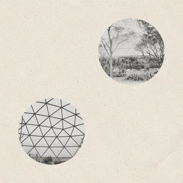 Desert Dome