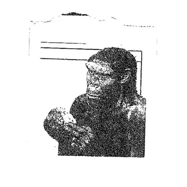 Pithecanthropus Carpathicus