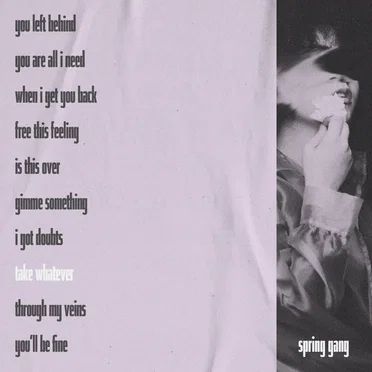 Take Whatever by Spring Gang - album cover