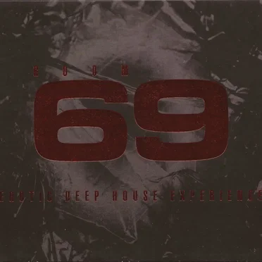 Room 69: Erotic Deep House Experience by Various Artists - album cover