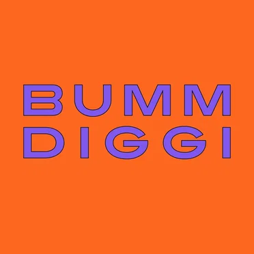 Bumm Diggi by MC Fitti - album cover