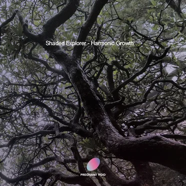 Harmonic Growth by Shaded Explorer - album cover