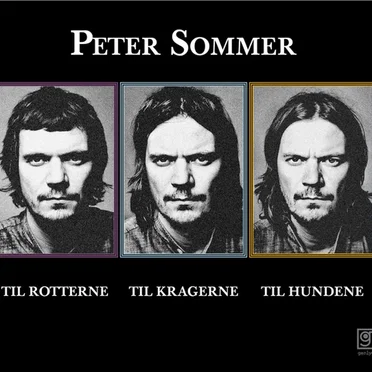 Til rotterne, til kragerne, til hundene