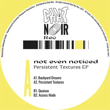 Persistent Textures