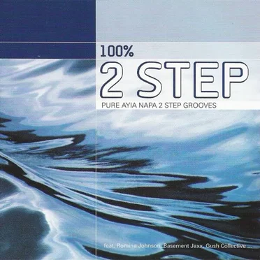 100% 2 Step by Various Artists - album cover
