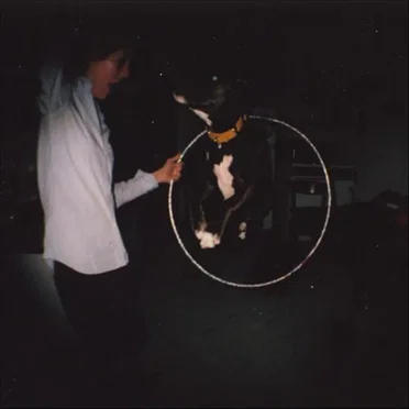 The Dog by Slow Club - album cover