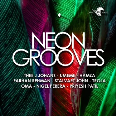Neon Grooves by Various Artists - album cover