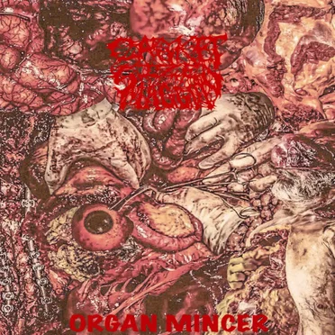 Organ Mincer