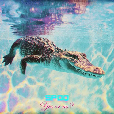 Yes or No? by Spoq - album cover