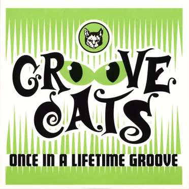 Once in a Lifetime Groove