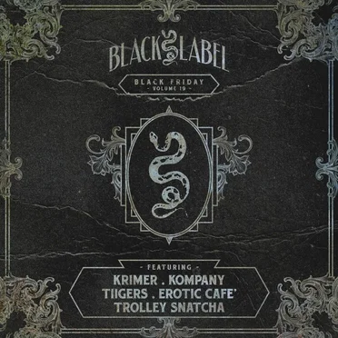 Black Friday, Vol. 19 by Various Artists - album cover