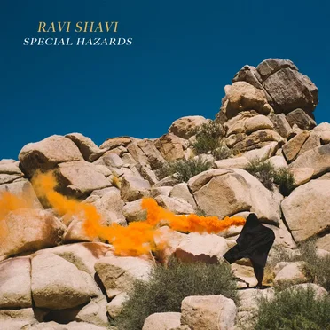 Ravi Shavi