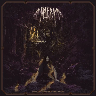 You Can't Bury What Still Burns by Aptera - album cover