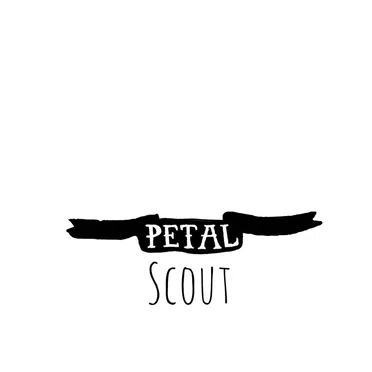 Scout