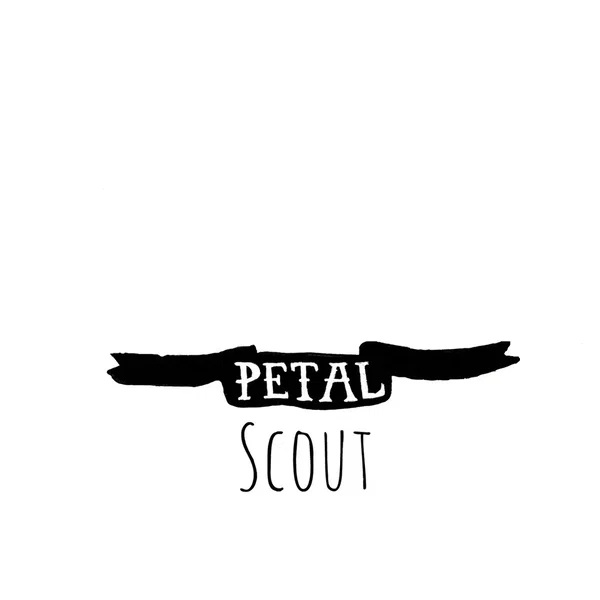 Scout