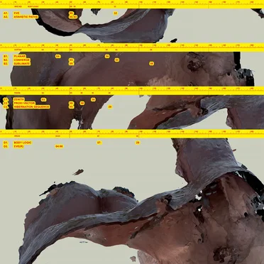 Body Logic by Awe Kid - album cover