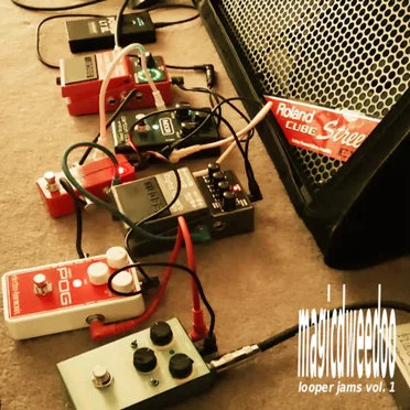 looper jams vol. 1 by magicdweedoo - album cover