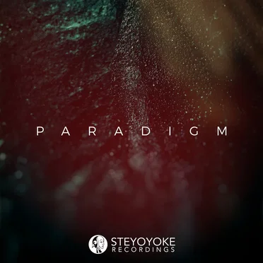 Steyoyoke Paradigm Vol. 07 by Various Artists - album cover
