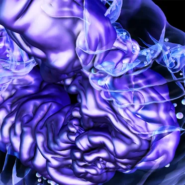 Visceral Minds by Various Artists - album cover