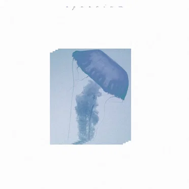 Aquarium by utem kaure - album cover
