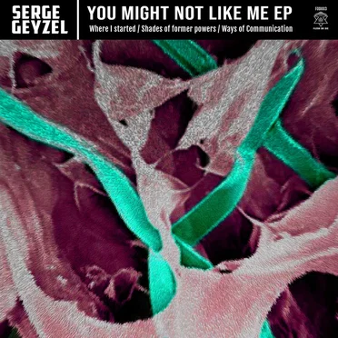 You Might Not Like Me