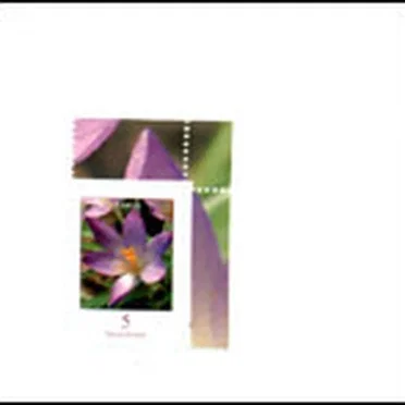 Volition I II III / Oskaréhs Waldtaubenspatziergang