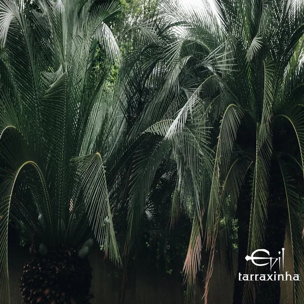 Evil Tarraxinha
