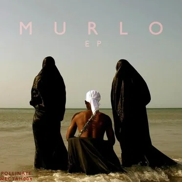 Nectah 004 by Murlo - album cover