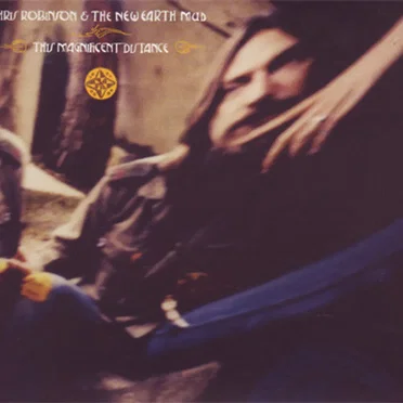 This Magnificent Distance by Chris Robinson & The New Earth Mud - album cover