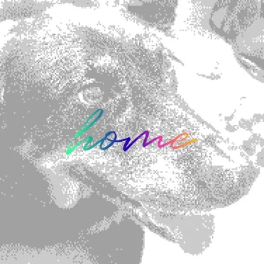 Home by Duck Duck Pony - album cover