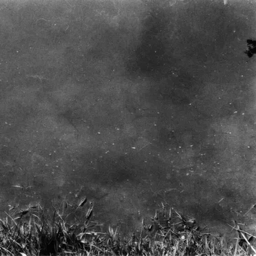 Towards the Enfolding Flower