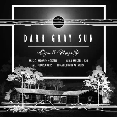 Dark Gray Sun by Reza Rozim - album cover